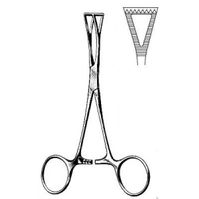 COLLIN Artery Forceps & Tissue Seizing Forceps 14 cm